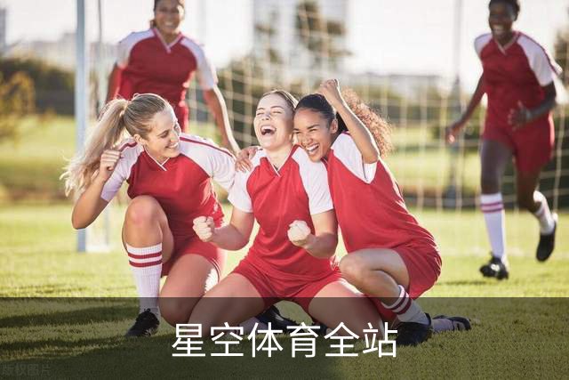 星空体育全站公司介绍